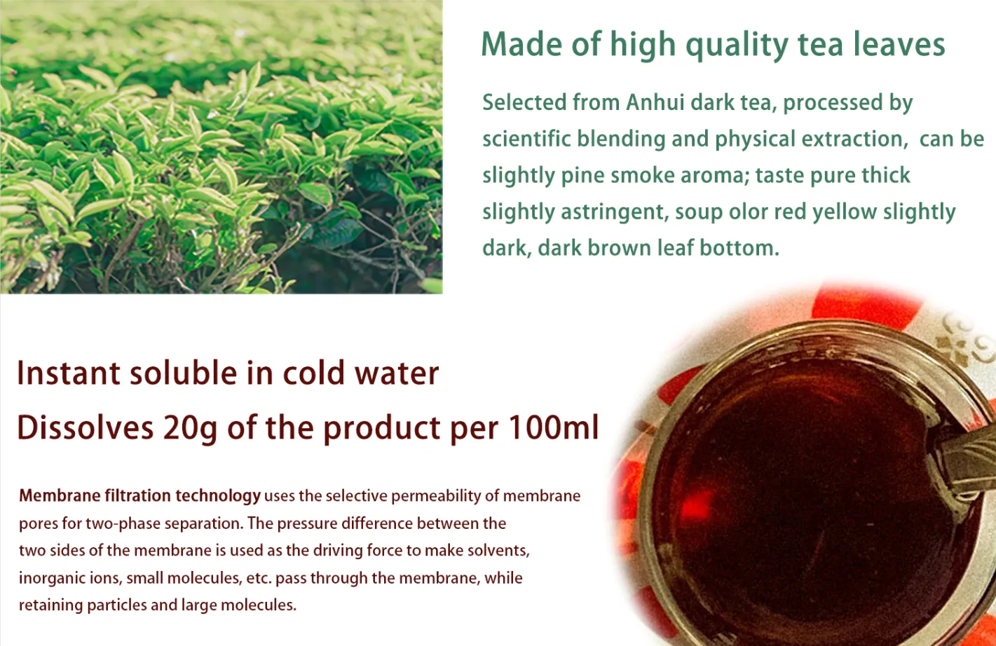 Instant Dark Tea Powder Manufacturrer - Herb Green Health