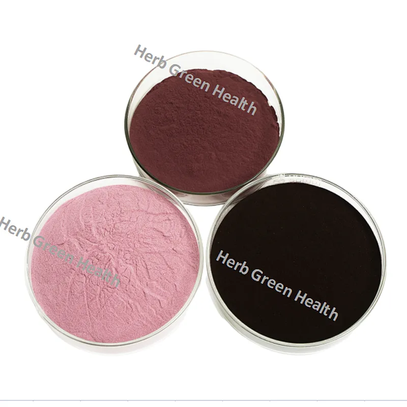 Elderberry SD Powder