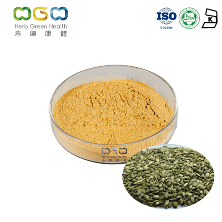 Pumpkin Seed Extract protein