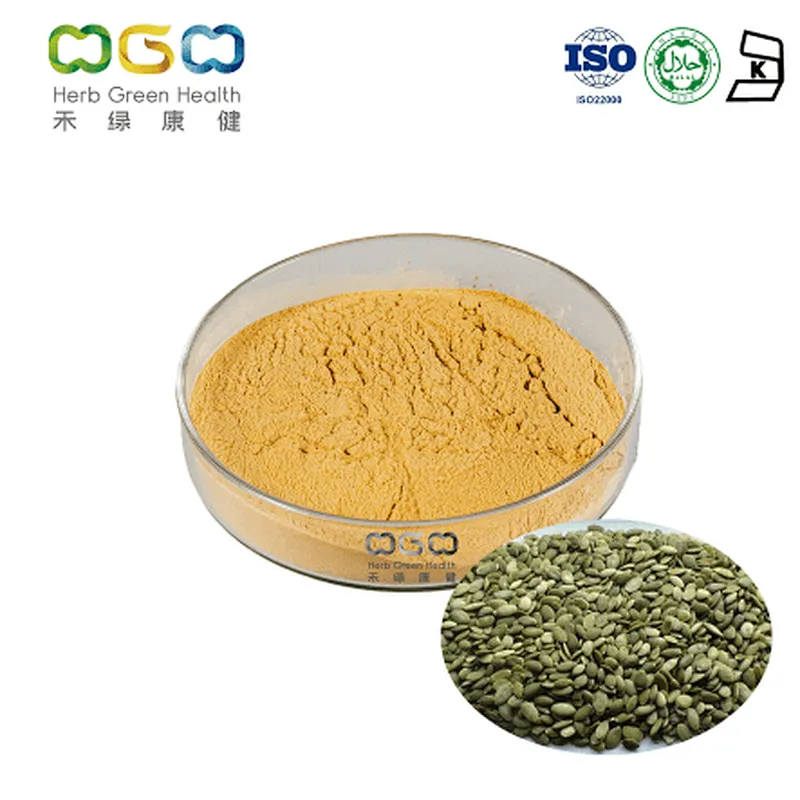 Pumpkin Seed Extract protein