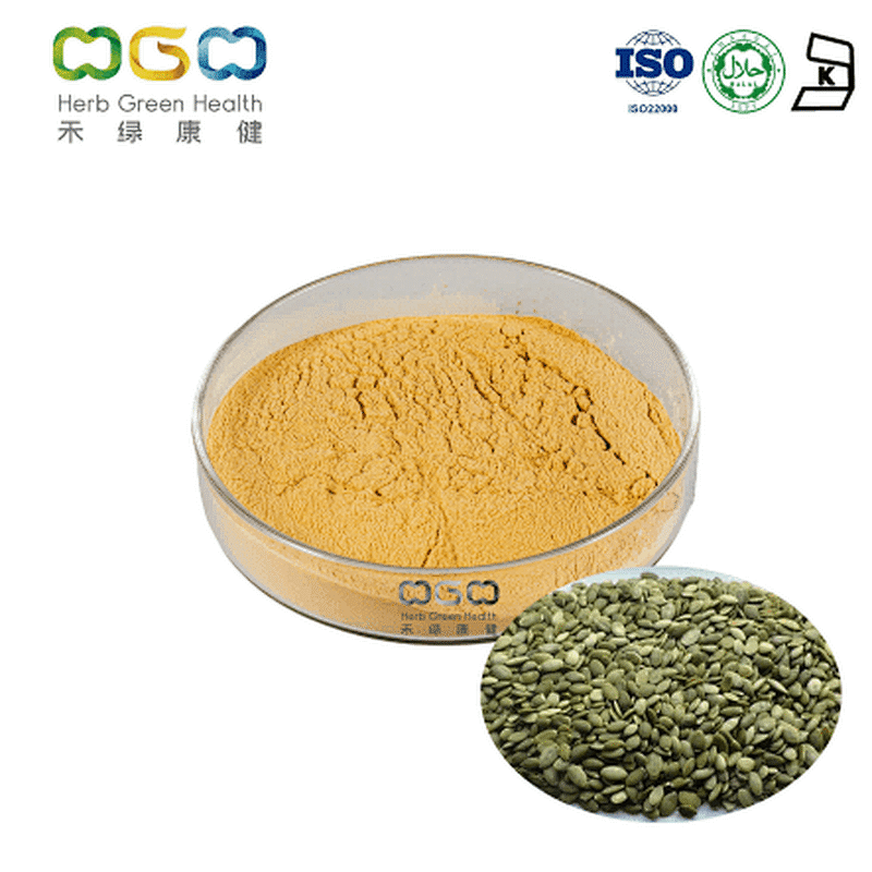 Pumpkin Seed Extract protein