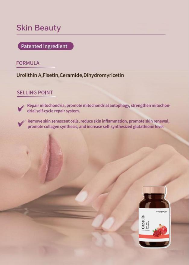 Dihydroberbreine & Fisetin Weight Control Capsule