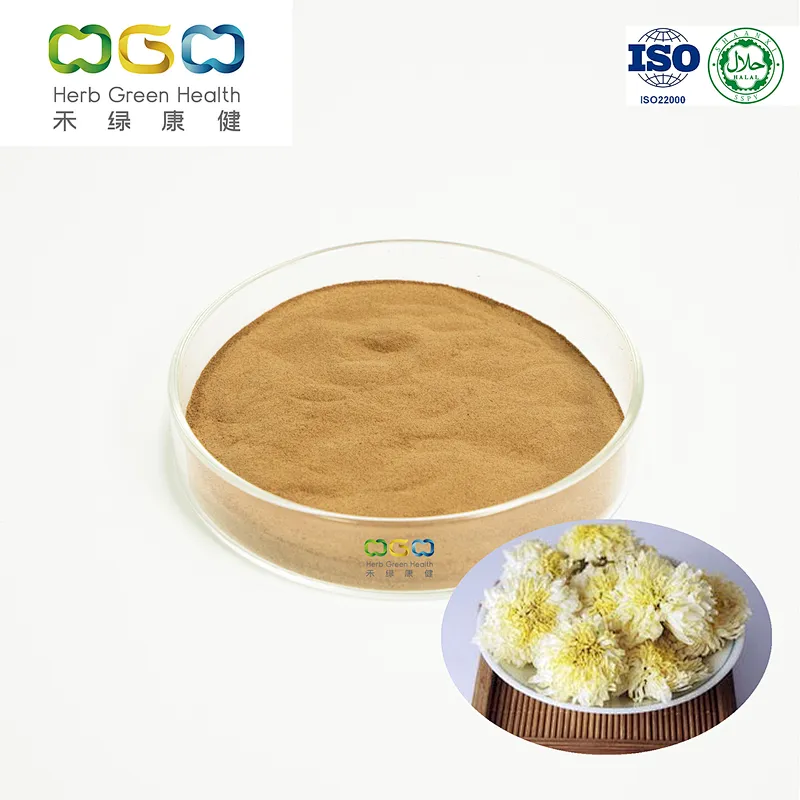 Instant Hangzhou White Chrysanthemum Powder