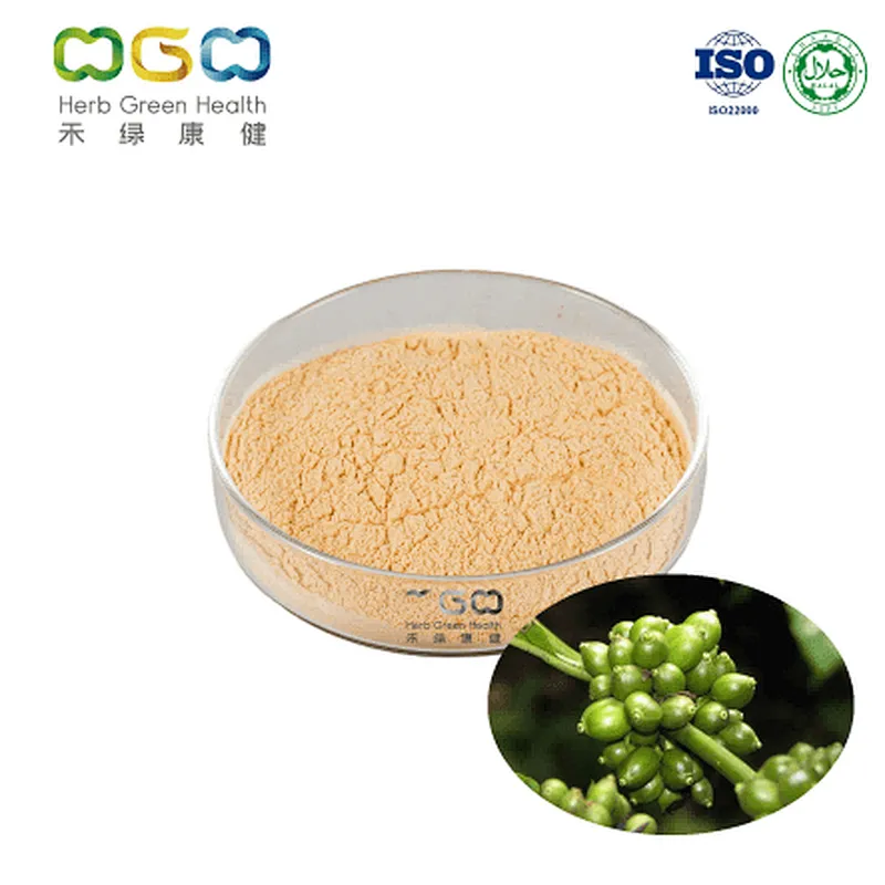 Green Coffee Bean Extract
