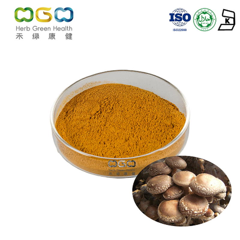 Shiitake Mushroom Extract