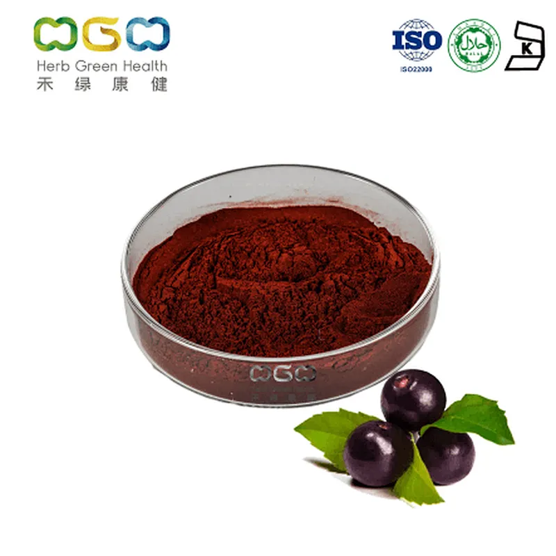 Acai SD Powder