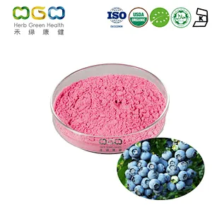 VisionGud® Blueberry Extract