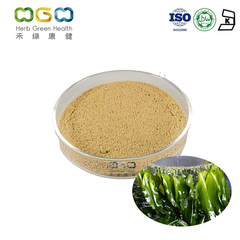 Kelp Extract