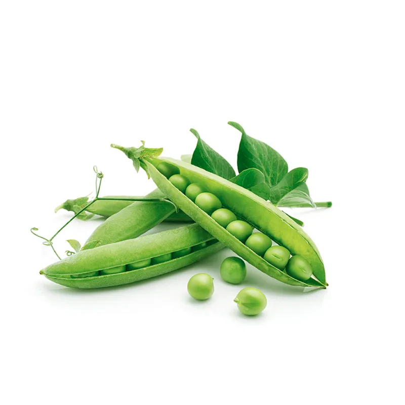 Pea Protein