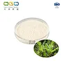 Vine Tea Extract