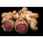 What is black ginger extract good for?