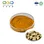 Tuber Fleeceflower Root Extract
