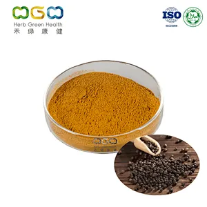 Black Pepper Powder