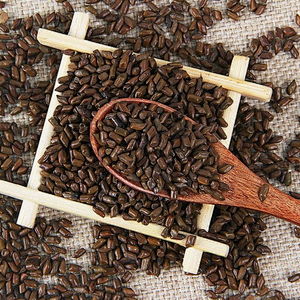 Cassia Seed Extract
