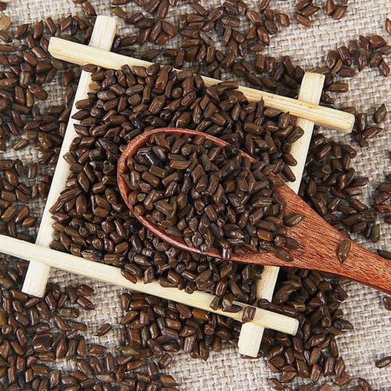 Cassia Seed Extract