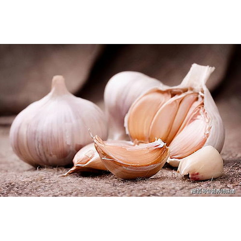 Garlic Powder