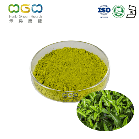 Super Fine Green Tea Powder