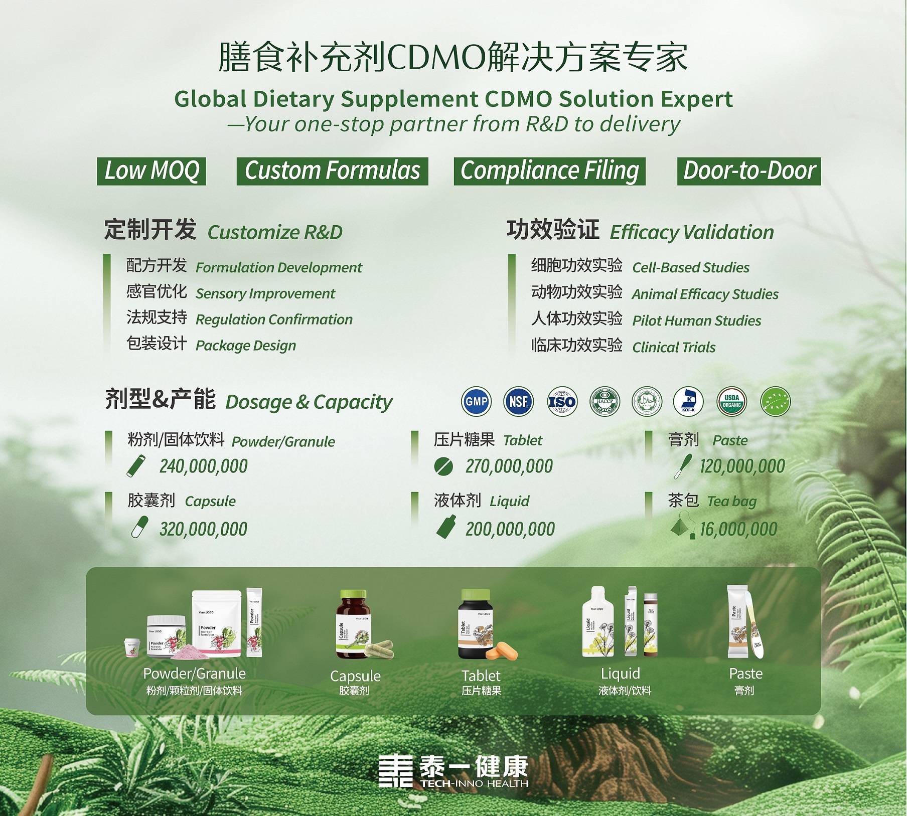 global dietary supplement CDMO solution expert
