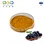 Fructus Extract
