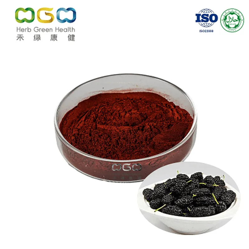 Mulberry SD Powder