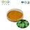 Epimedium Extract