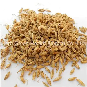 Wheat Germ Powder