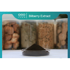 European Bilberry Extract