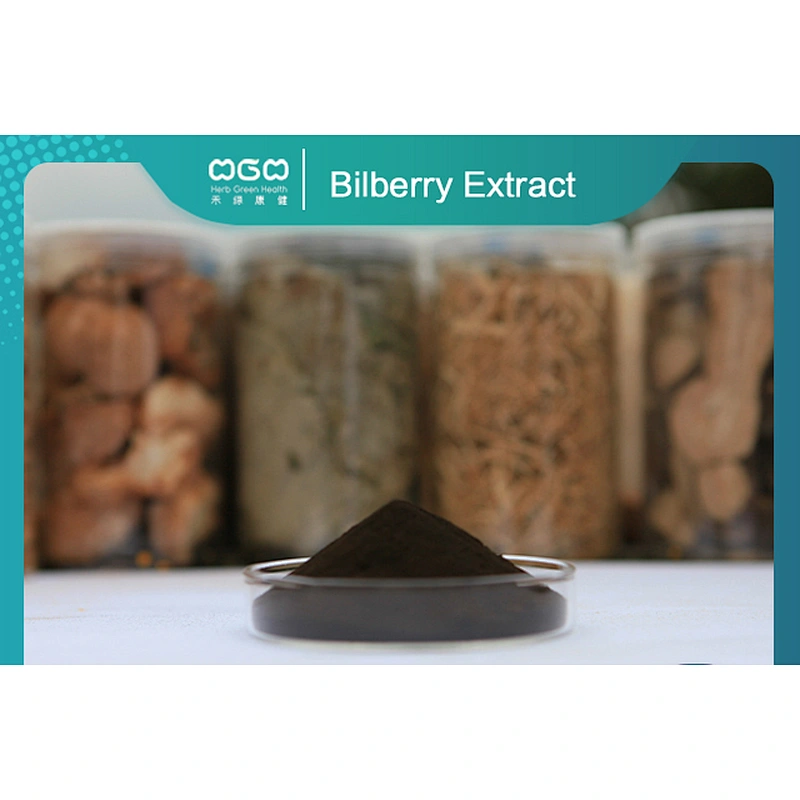 European Bilberry Extract