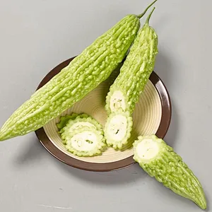 Bitter Melon SD Powder