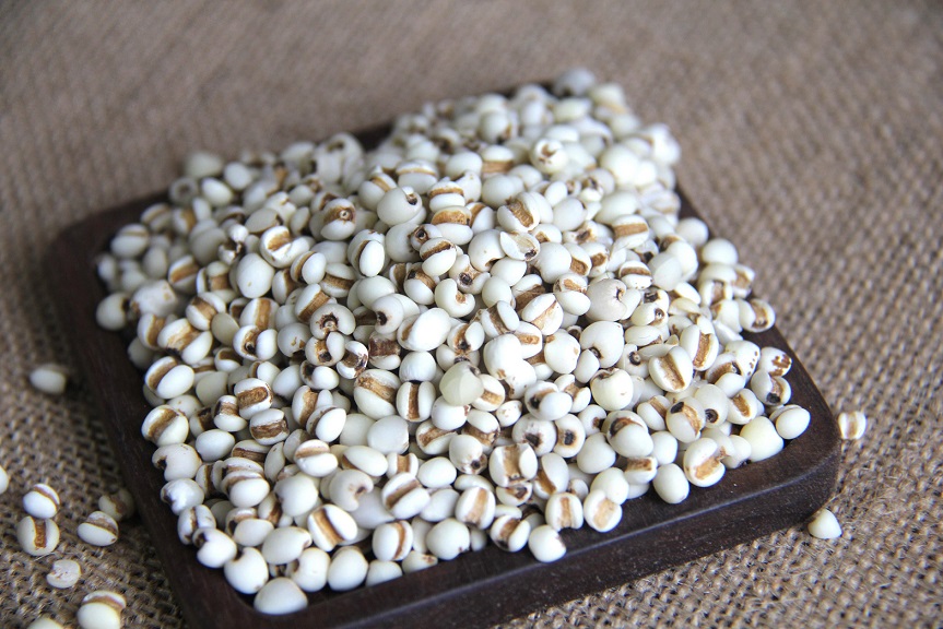 What does coix seed extract do for skin