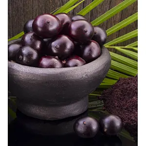 Acai SD Powder