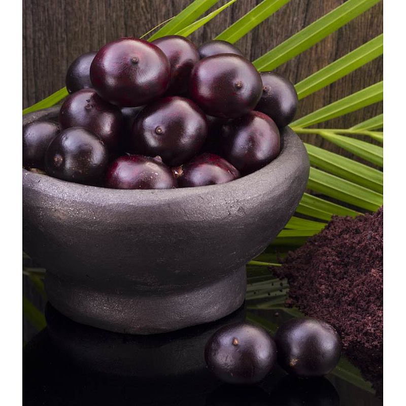 Acai SD Powder