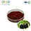 Mulberry Extract