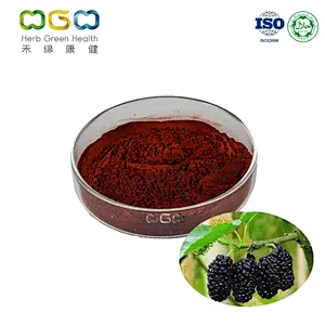 Mulberry Extract