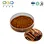 Cinnamon Extract