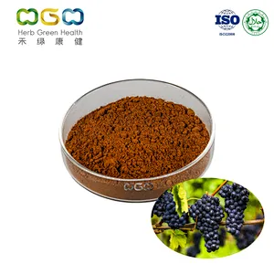 Grape Seed Extract