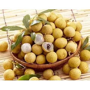 Longan Extract