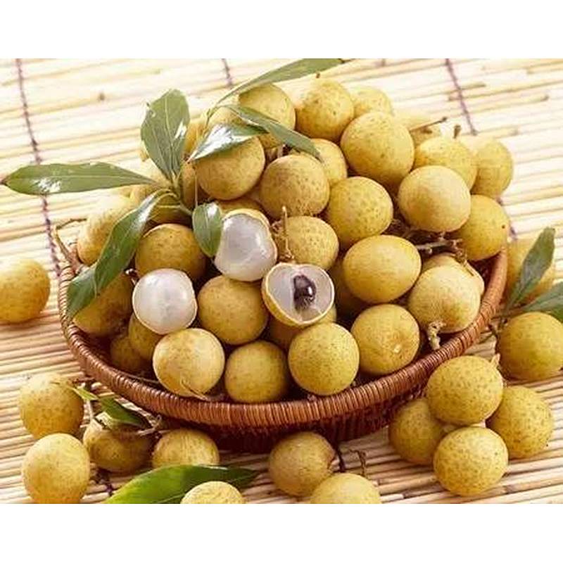 Longan Extract