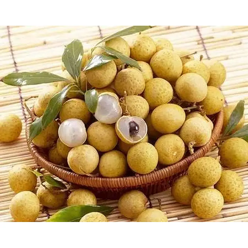 Longan Extract
