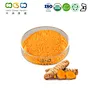 Organic Turmeric Extract