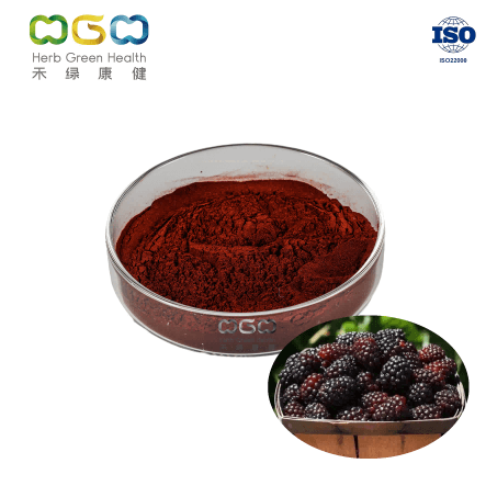 Boysenberry SD Powder