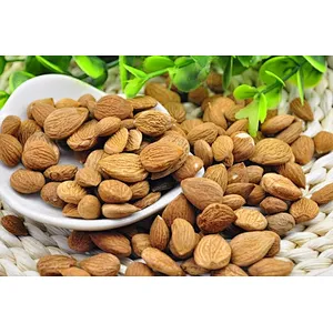 Bitter Apricot Seed Extract