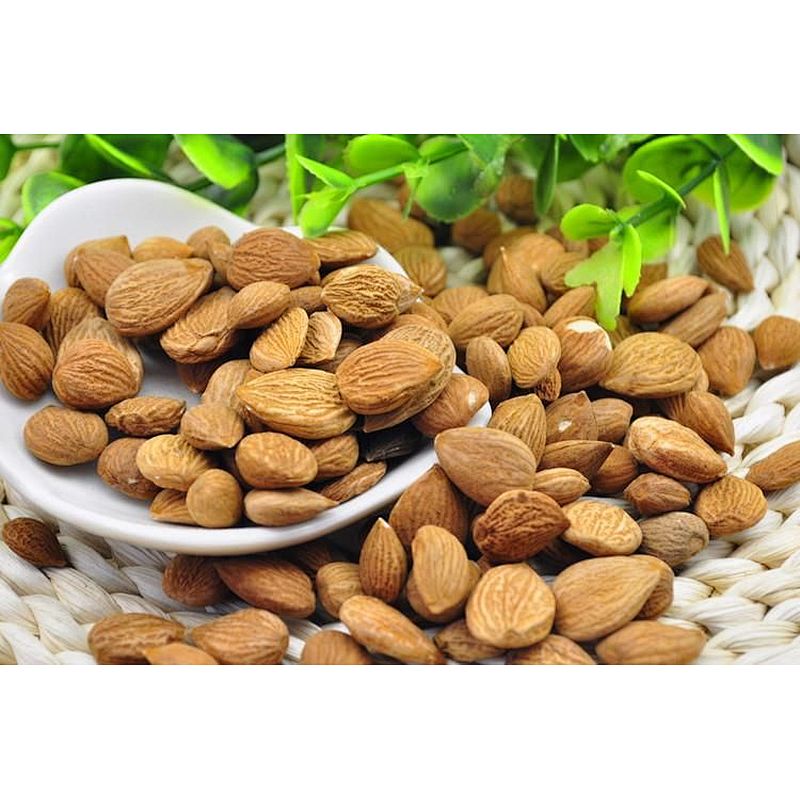 Bitter Apricot Seed Extract