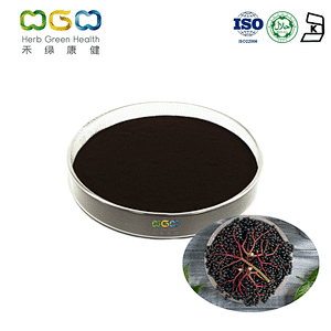 Elderberry (Sambucus) Extract