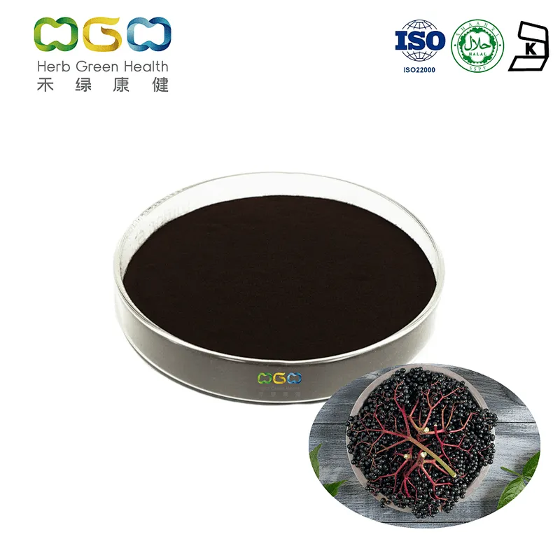 Elderberry (Sambucus) Extract