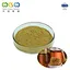 Brazilian Green Propolis
