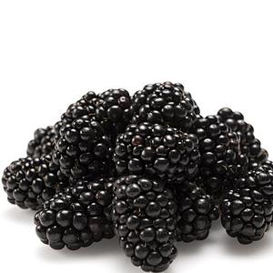 Boysenberry SD Powder