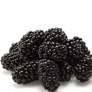 Boysenberry SD Powder