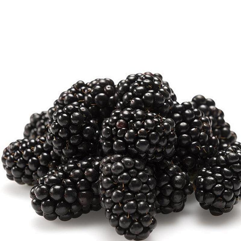 Boysenberry SD Powder