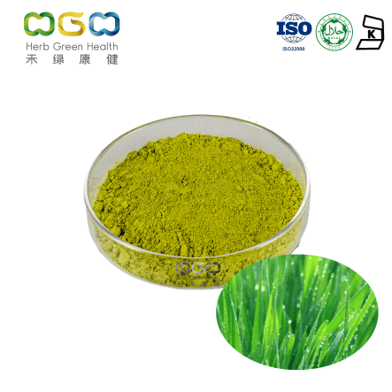 Barley Grass Powder